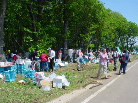 ��������̏o�X���ł܂���