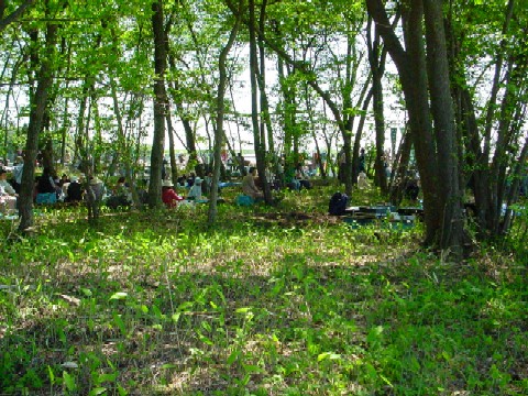 �т̒��̗l�q