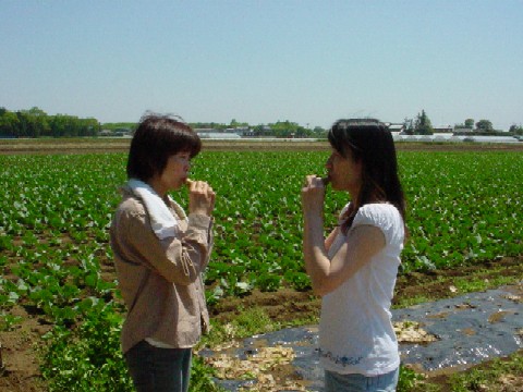 �o�ԑO�ɃR�J���i�̗��K