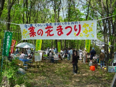 2005�N4��24���؂̉Ԕ�