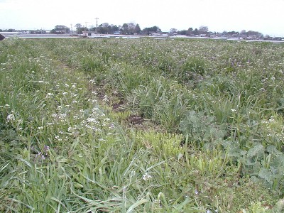 �i�^�l���G���ɖ�����Ă��܂�