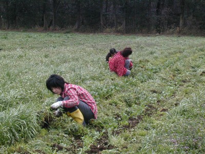 ����Ă�����Ă����̍L���ł́E�E�E