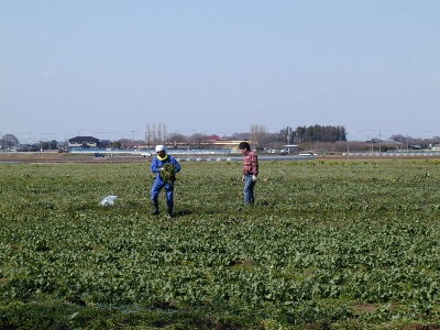 �F�����`���ā`�`