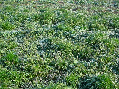 �i�^�l���G���ɖ�����Ă��܂�