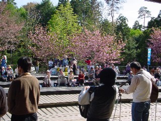 �X�e�[�W���猩�����̗l�q